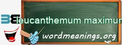 WordMeaning blackboard for leucanthemum maximum
